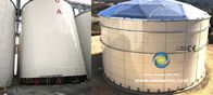 높은 경식 저항성 확장된 곡성 슬러지 베드 (EGSB) 산업용 물 처리용 탱크