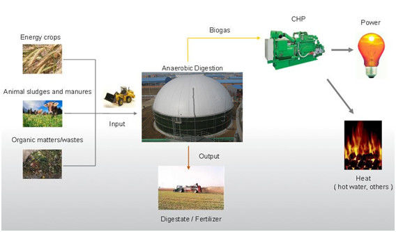 EPC USR/CSTR 바이오가스 아에로브 발효 바이오가스 저장 탱크 폐기물 에너지 프로젝트 공장 1