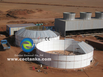EPC USR/CSTR 바이오가스 아에로브 발효 바이오가스 저장 탱크 폐기물 에너지 프로젝트 공장