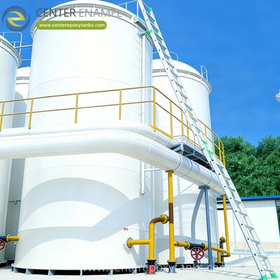 대용량 소아지방유 저장장치의 외부 떠있는 지붕: 대용량 소아지방유 저장 시스템에서 산화 썩을 것을 방지합니다.